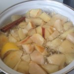 Meniul zilei by Gospodina Corporatista: Pulpe la cuptor cu lamaie si compot de mere aromat