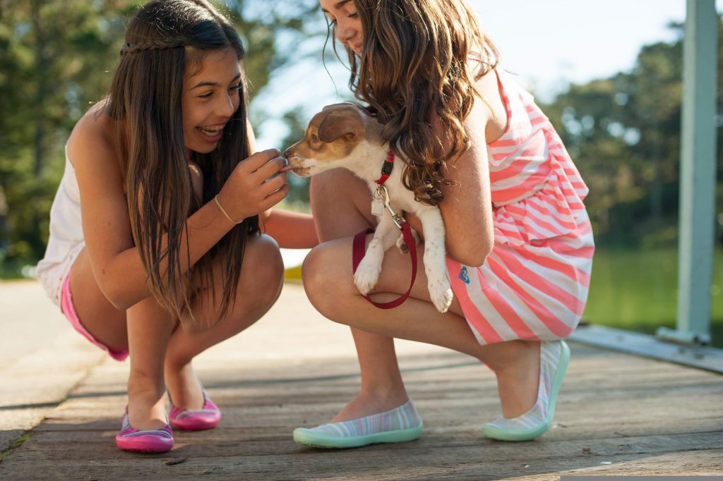 Cum sa implici copilul in ingrijirea animalului familiei - sfatulparintilor.ro - pixabay_com - girls-5801275_1920