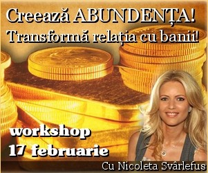 workshop abundenta - Nicoleta Svarlefus