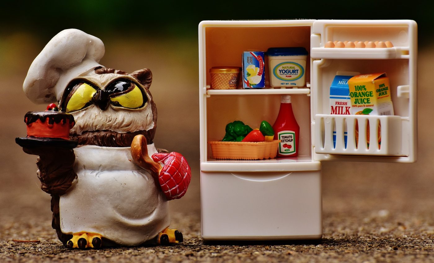 cum sa cureti frigiderul - sfatulparintilor.ro = pixabay-com - owl-1645310_1920