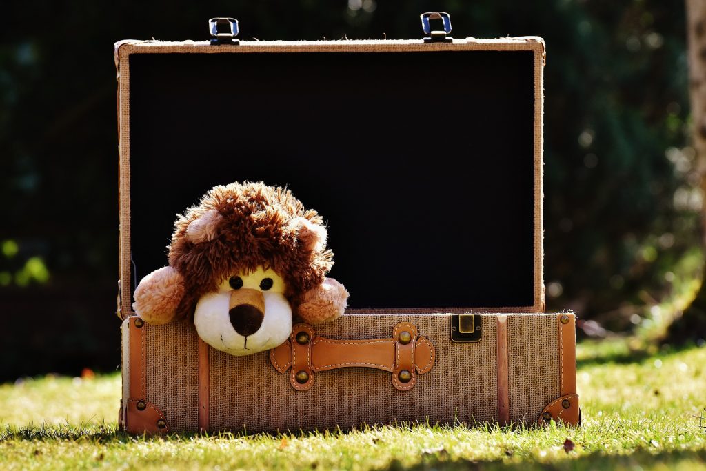 lucruri de luat pentru copii in bagaj - sfatulparintilor.ro - pixabay_com - teddy-bear-2149742_1920