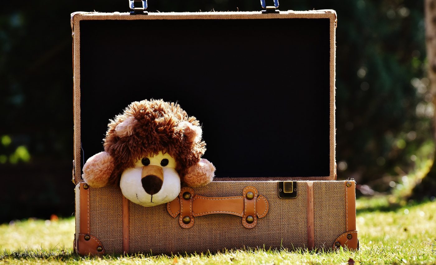 lucruri de luat pentru copii in bagaj - sfatulparintilor.ro - pixabay_com - teddy-bear-2149742_1920