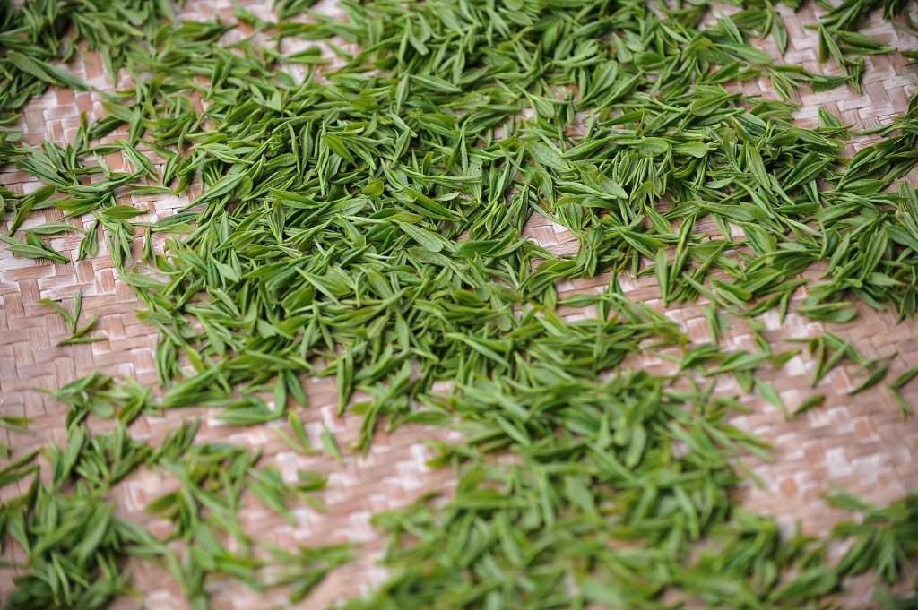 motive sa bei ceai verde - sfatulparintilor.ro - pixabay_com - tea-garden-1557697_1920