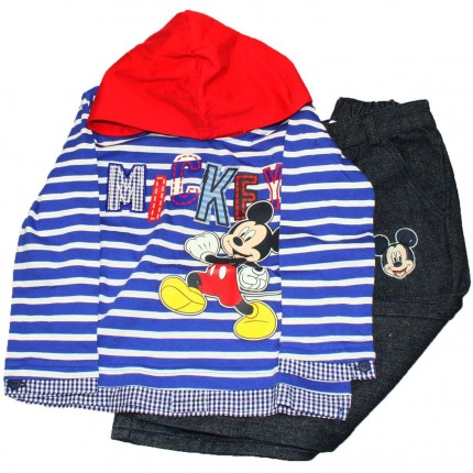 compleu mickey mouse