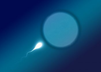 sperma - sfatulparintilor.ro - pixabay_com - sperium-2505954_1920