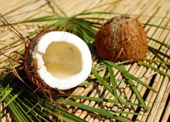 despre nucile de cocos