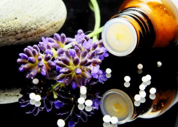 despre homeopatie - sfatulparintilor.ro - pexels_com - green-purple-flower-163186
