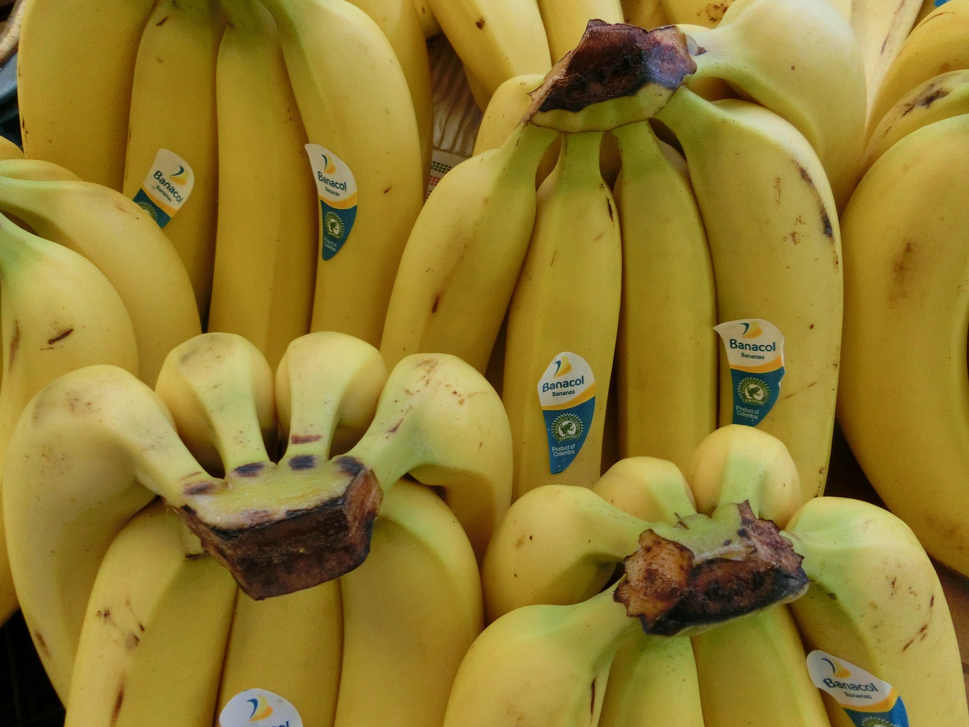 banane - sfatulparintilor.ro - pixabay_com
