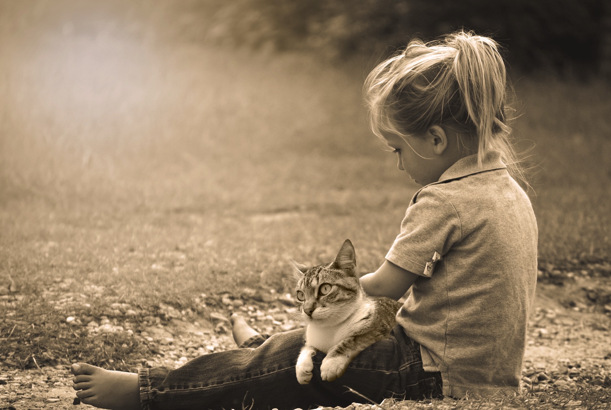 copii pisica - sfatulparintilor.ro - pixabay_com