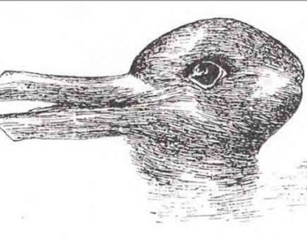 two-meanings-duck-rabbit2