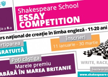 2016 Essay Competition imagine site-blog