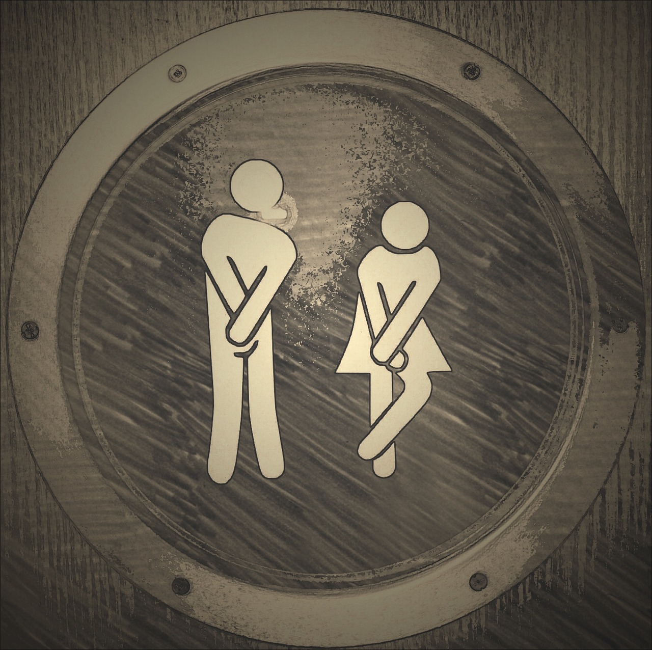 scaun - WC - sfatulparintilor.ro - pixabay_com