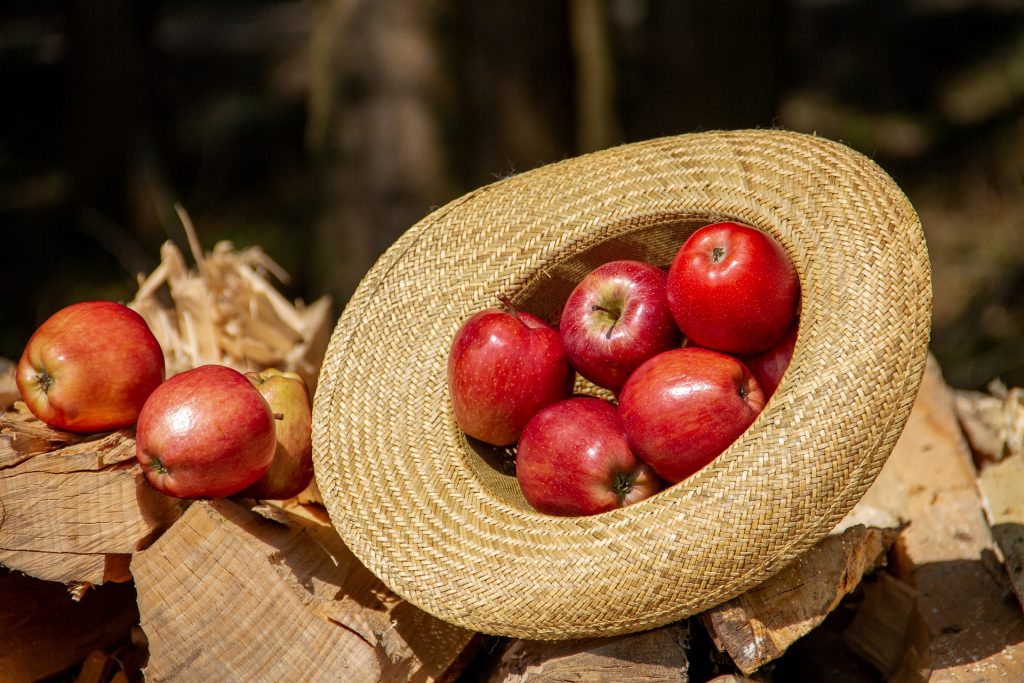 beneficii ale merelor - sfatulparintilor.ro - pixabay_com - apple-3313225_1920