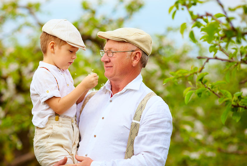 39690538 - cute grandpa with grandson on hands in spring garden