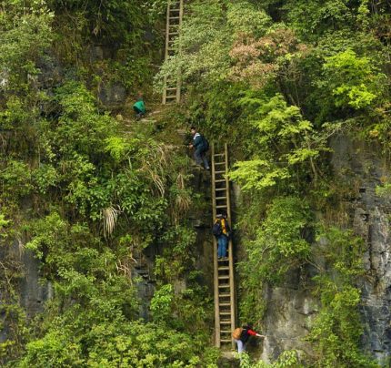 Schoolchildren Climbing On Unsecured Wooden Ladders, Zhang Jiawan Village, Southern China