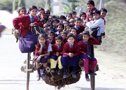 Schoolchildren Riding A Horse Cart Back From School In Delhi, India