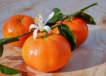vitamina C - sfatulparintilor.ro - pixabay_com - tangerines-3114765_1920