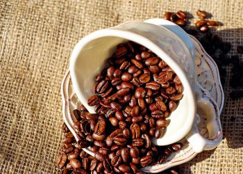 cafeaua perfecta - sfatulparintilor.ro - pixabay-com - coffee-1576537_1920