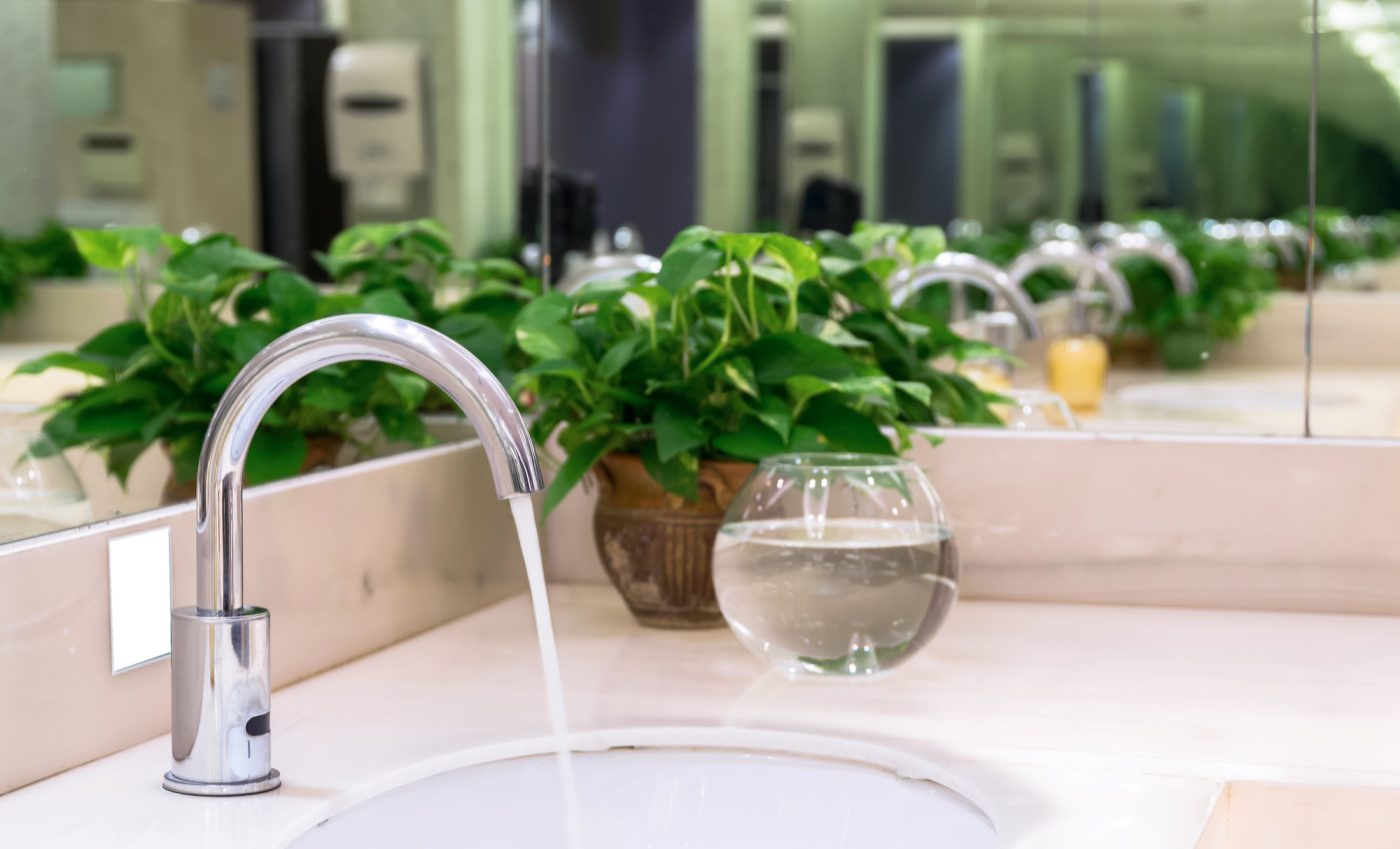 plante ideale pentru baie