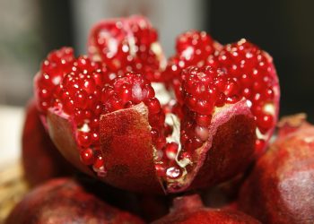 fructe rodie - sfatulparintilor.ro - pixabay_com