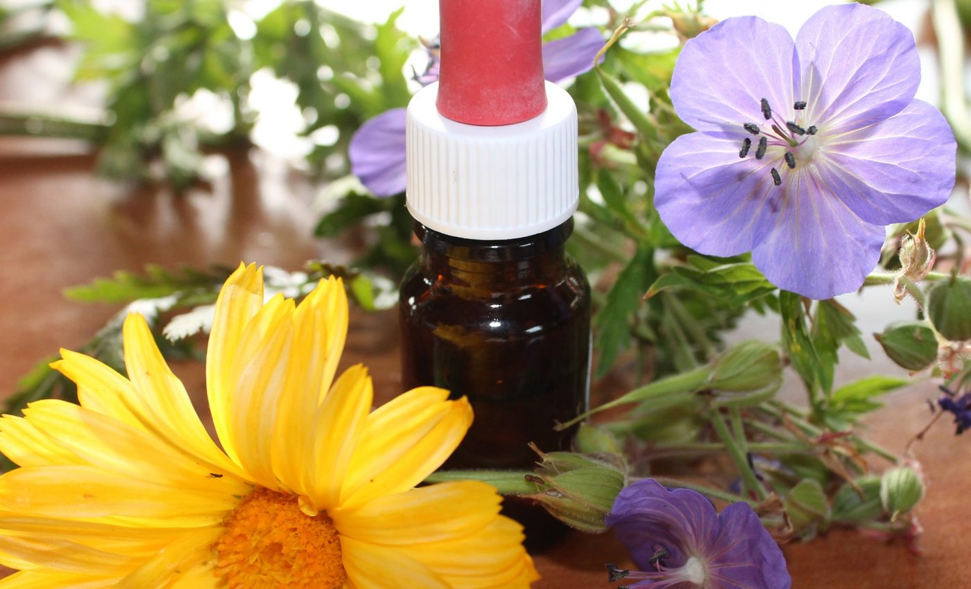 homeopatie - sfatulparintilor.ro - pixabay_com