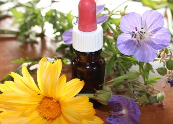 homeopatie - sfatulparintilor.ro - pixabay_com