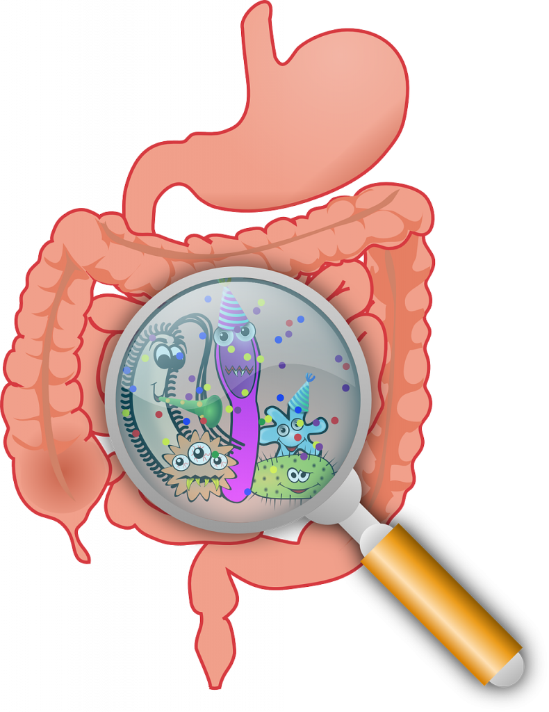 cauze ciudate care dau diaree - sfatulparintilor.ro - pixabay_com - anatomy-160524_1280
