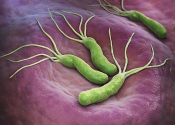 Helicobacter pylori este o bacterie care traieste in sistemul digestiv si poate provoca ulcer sau chiar cancer de stomac. Iata ce trebuie sa stii despre ea!