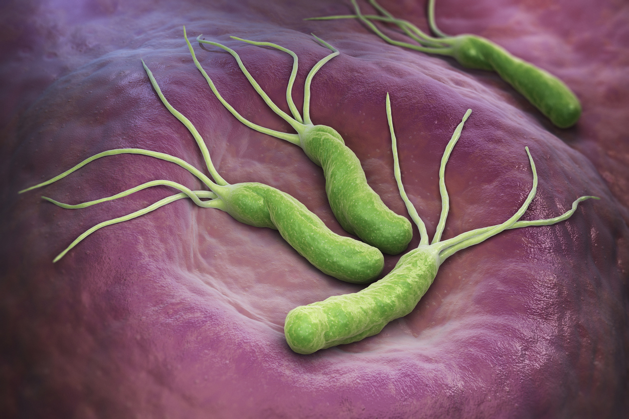 Helicobacter pylori este o bacterie care traieste in sistemul digestiv si poate provoca ulcer sau chiar cancer de stomac. Iata ce trebuie sa stii despre ea!