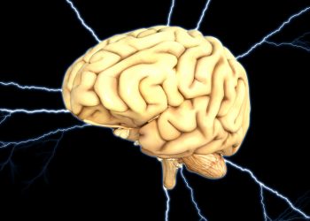 stimulezi creierul - sfatulparintilor.ro - pixabay_com - brain-1845940_1920