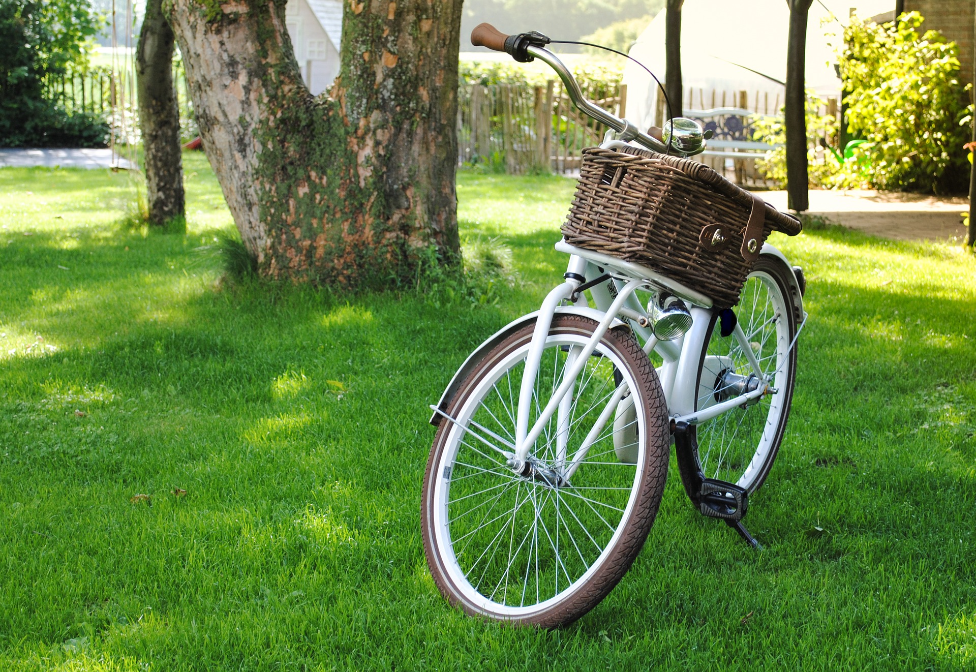 Ce fel de persoana esti - sfatulparintilor.ro - pixabay_com - bicycle-2471178_1920