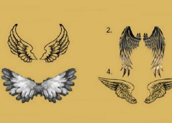 Alege o pereche de aripi