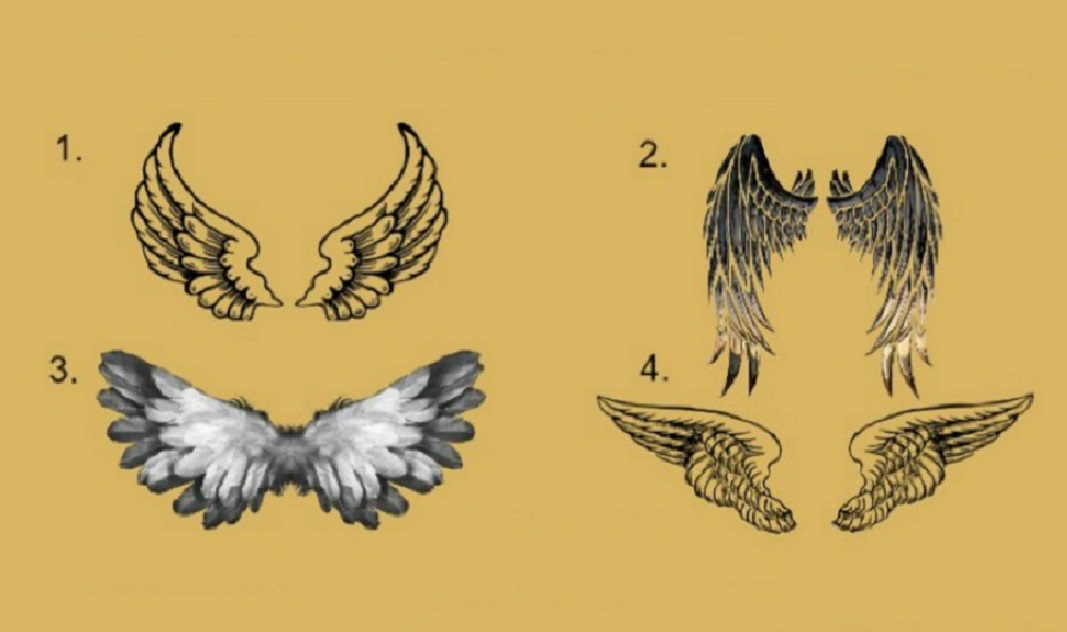 Alege o pereche de aripi