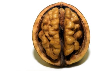 Alimentele care iti distrug creierul - sfatulparintilor.ro - pixabay_com - walnut-3072652_1920