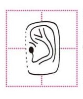 Urechi sub forma rectangulara