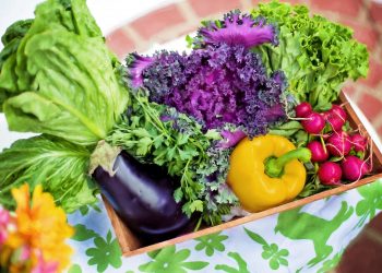legume care te feresc de cancer - sfatulparintilor.ro - pixabay_com - vegetables-790022_1920