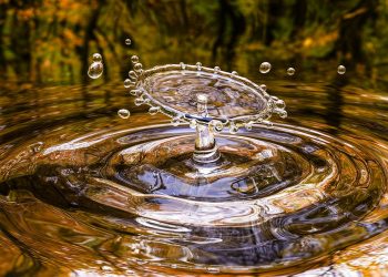 apa te poate imbolnavi - sfatulparintilor.ro - pixabay_com - drop-3698073_1920