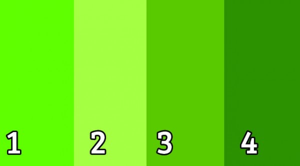 Alege O Culoare Verde Colors 0007 Green 1 600x332