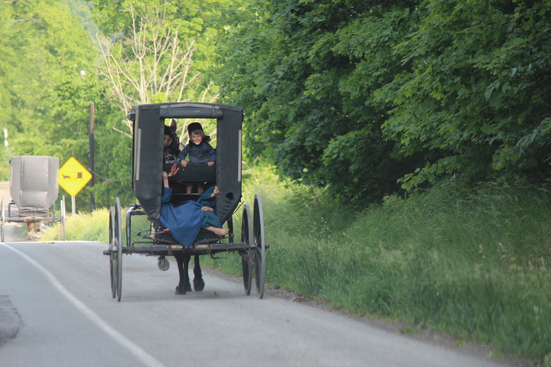 Reteta Amish care scade tensiunea si colesterolul - Sfatulparintilor.ro