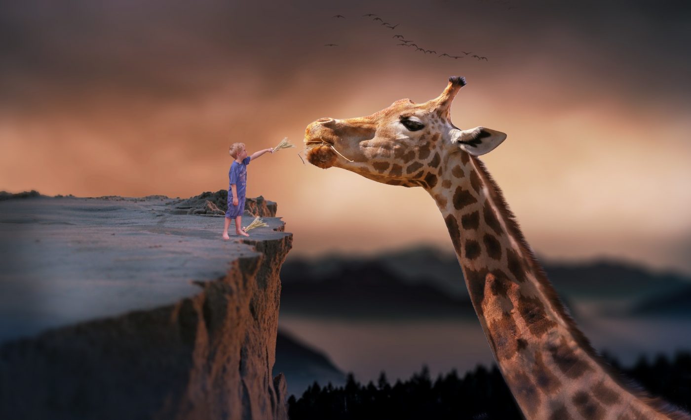 zodii manipulatoare - sfatulparintilor.ro - pixabay_com giraffe-1959110