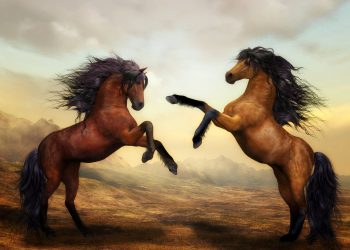 ce inseamna cand visezi cai - sfatulparintilor.ro - pixabay_com - horses-2904536_1920