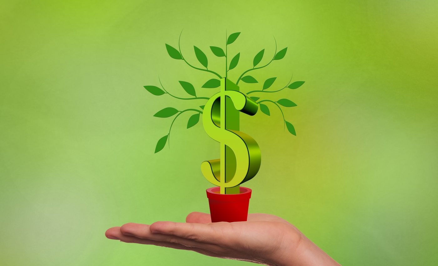 planta banilor - sfatulparintilor.ro - pixabay_com - financing-2380158_1920