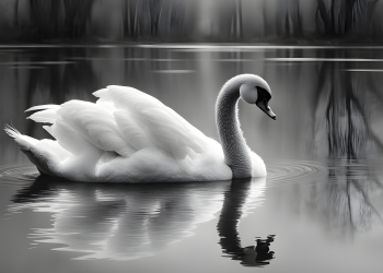 fata ascunsa a zodiilor