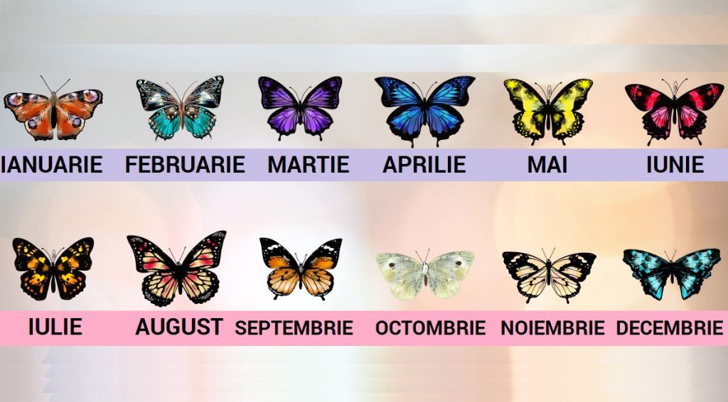 fluturi luna nasterii - sfatulparintilor.ro - What-Your-Birth-Month-Butterfly-Says-About-Your-Personality