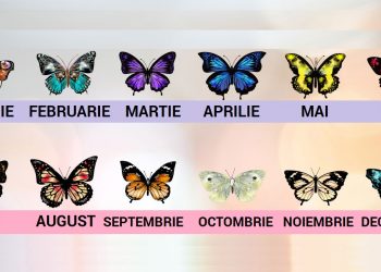 fluturi luna nasterii - sfatulparintilor.ro - What-Your-Birth-Month-Butterfly-Says-About-Your-Personality