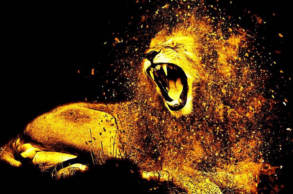 zodia leului - sfatulparintilor.ro - pixabay_com - lion-1987846_1920