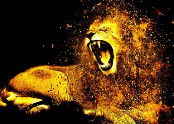 zodia leului - sfatulparintilor.ro - pixabay_com - lion-1987846_1920