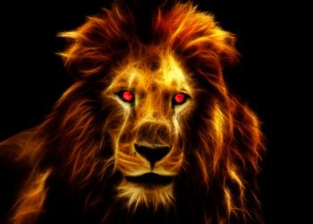 portalul leului - sfatulparintilor.ro - pixabay_com - lion-1237441_1920