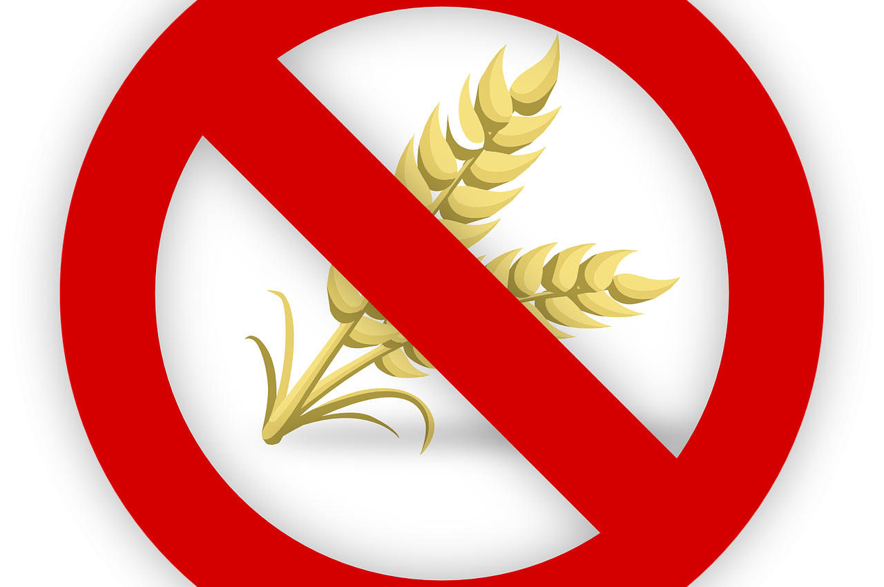 intoleranta la gluten -sfatulparintilor.ro - pixabay_com - wheat-995055_1280