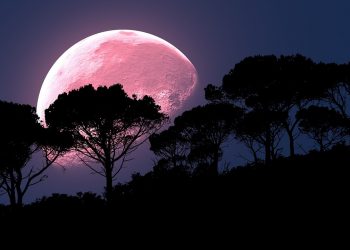 luna plina in sagetator 2019 - sfatulparintilor.ro - pixabay_com - moon-2238023_1280